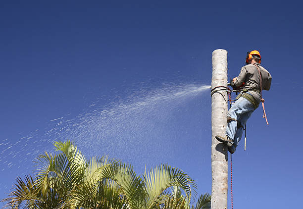 Best Soil Testing and Treatment  in Santa Ynez, CA